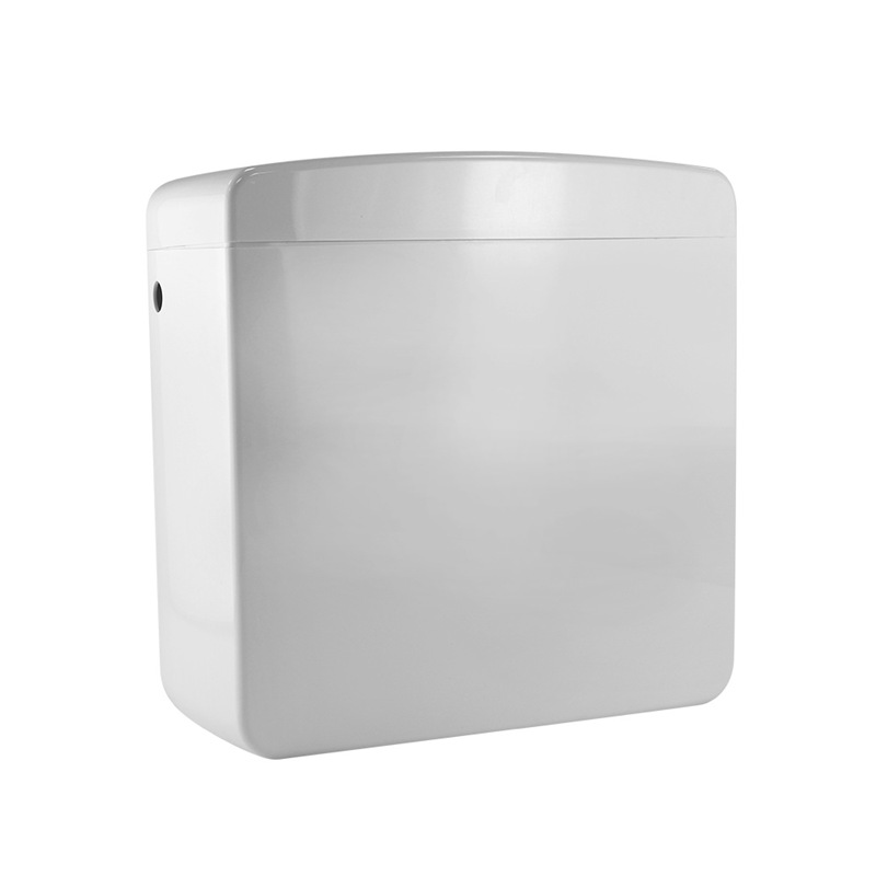 Προσαρμόστε το καλούπι πλαστικού ψεκασμού PP για το Dual Flushing Cistern